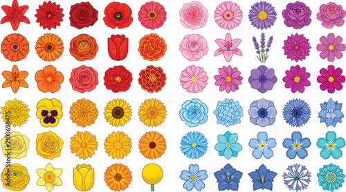 Photos Colorful Floral Blossom and Spring Flower Heads Vector Icon Set with Rose Sunflo
