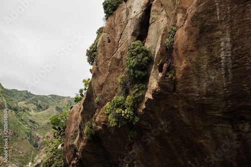 Canvastavla Majestic rock face adorned with vibrant green vegetation under a cloudy sky, revealing intricate textures and ancient cracks