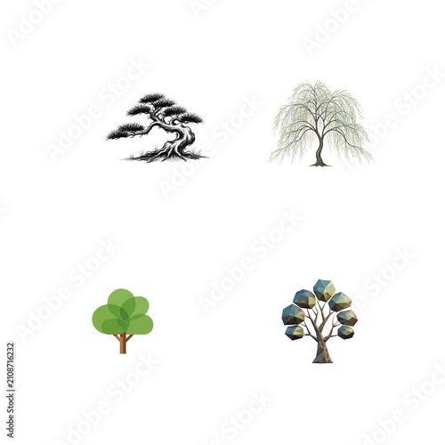 Four diverse tree illustrations bonsai weeping willow round canopy and geometric tree isolated on transparent background