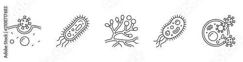 Microbiology icon set, line art microorganisms, virus, bacteria, mold fungus, micro cell infection linear outline concept, vector illustration.