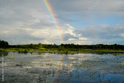 Fotografija This image depicts a natural rainbow appearing over a sparsely vegetated marshy landscape