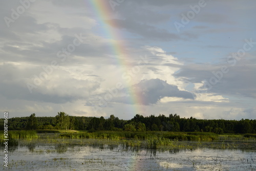 Принти на полотні This image depicts a natural rainbow appearing over a sparsely vegetated marshy landscape