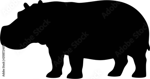 Foto Standing Hippopotamus Silhoue...
