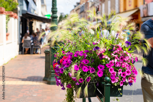 Obraz na płótnie Vibrant pink and purple petunias grow with ornamental grass in a street planter