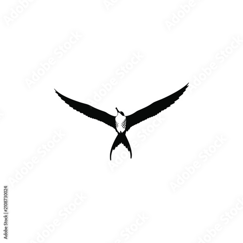 Minimalist flying bird vector silhouette icon. Stylized swallow or swift mascot with wide spread wings and forked tail. Nature wildlife illustration isolated on white background for design.