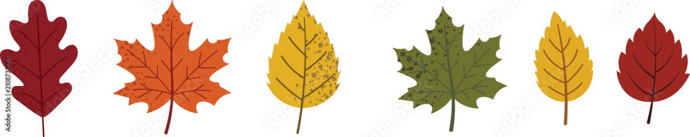 Naklejka premium A variety of deciduous leaves in fall colors like red, orange, yellow, and green, each with unique vein patterns