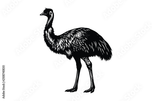 Canvastavla Stippled illustration of an australian emu standing full body profile with austr