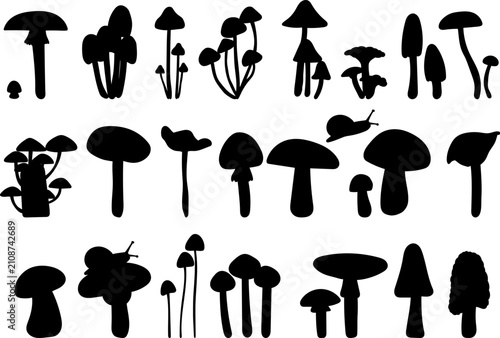 Mushrooms silhouette set, vector