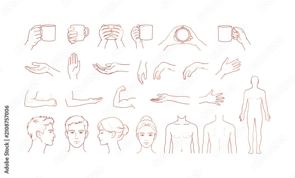 Fototapeta premium Human hand arm face elements medical anatomy minimal outline icons hold cup, hand, wrist, arm, body, torso, face, head, portrait,