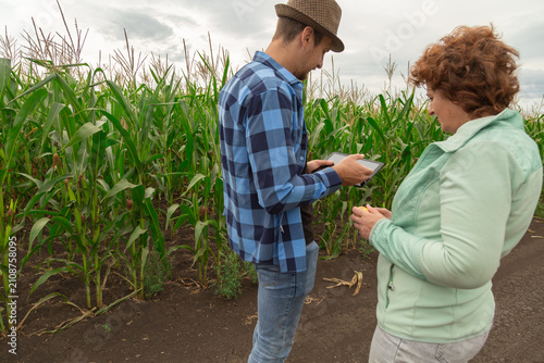Farmer and advisor assess crop quality near green corn rows. Stewardship protects soil, stewardship improves resource use, while stewardship imagery supports responsible farming projects.