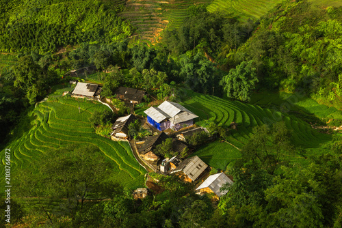 Ethnic Village Nestled in Green Terraced Rice Fields in Sapa