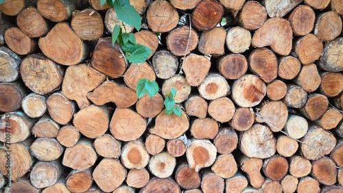stack of wood