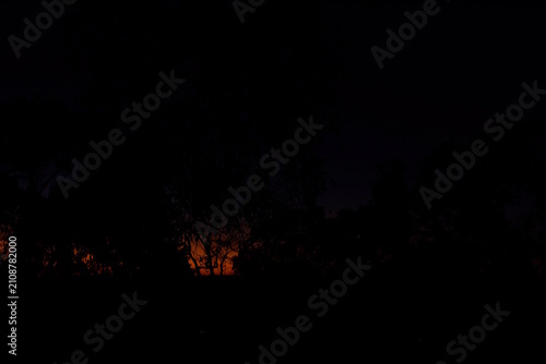 Céu ao pôr-do-sol com silhueta de floresta