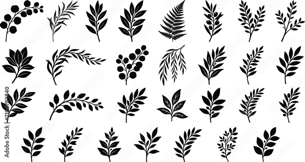 Fototapeta premium Botanical Leaf Branch Silhouette Collection Featuring Foliage Sprigs Ferns and Decorative Plant Vector Elements Set