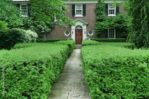 Fotografie Path to front door of house with long yew hedge