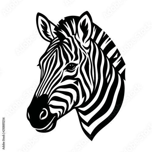 Zebra Head Stylized Black and White Illustration