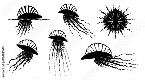 Portuguese Man o' War jellyfish silhouette set, marine life collection