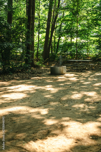 Peaceful wooded campsite with a fire ring and picnic table beneath a shady forest canopy