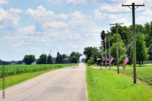 A country road extends to the horizon, bordered by emerging crops on agricultural fields and lined with American flags attached to telephone poles.