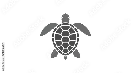 Fotografie Turtle Shell Icon Graphic Design Element.