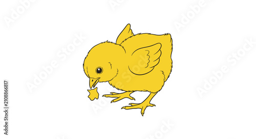 Yellow Baby Chick Pecking Ground.
