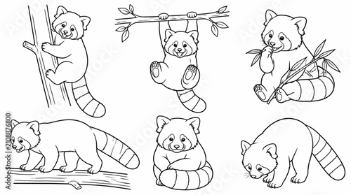 Set of cute red panda illustrations in various poses, line art style