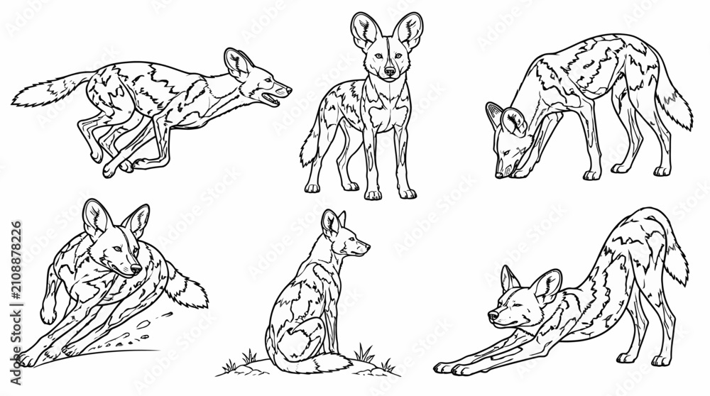 Obraz premium African Wild Dog Sketch Set in Various Poses, Wildlife Line Art Illustration