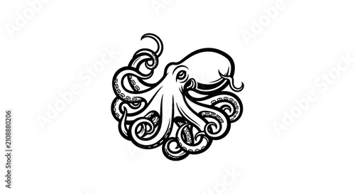 Minimalist octopus logo with swirling tentacles.