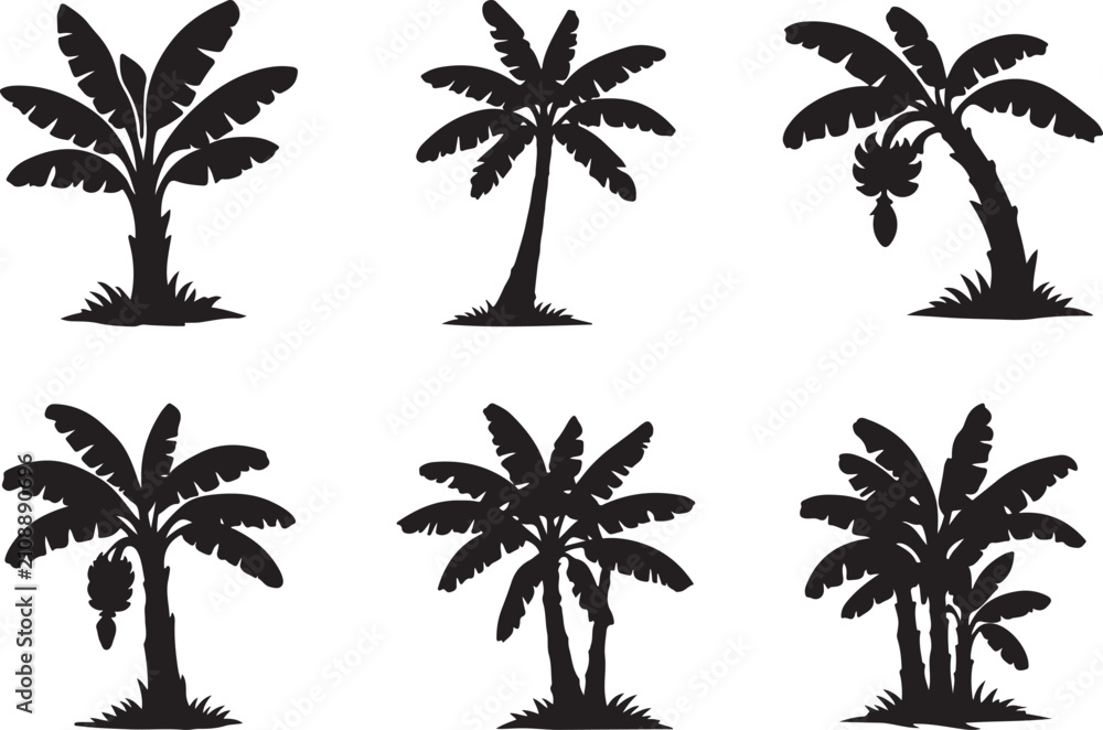 Fototapeta premium Banana Palm Tree Silhouette Vector