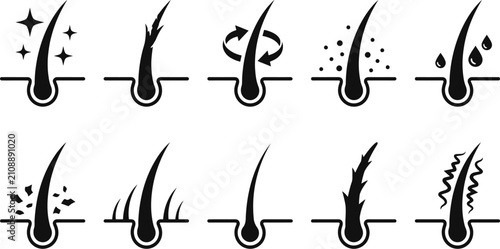 Hair follicle structure icons showing growth and health conditions set.