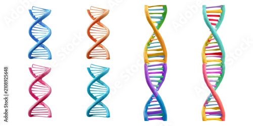 Colorful and Artistic DNA Helix Models in Various Designs and Styles, isolated on transparent background