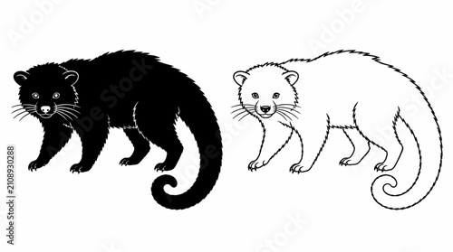 Asian Palm Civet Illustration in Silhouette and Line Art Style