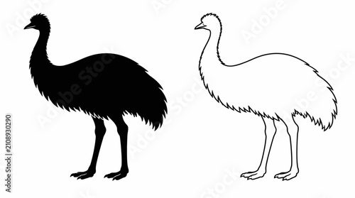 Emu silhouette and outline, minimalist bird design for graphic art