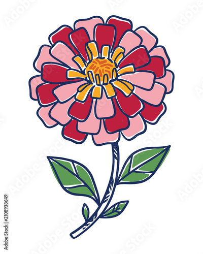 Hand drawn zinnia flower illustration
