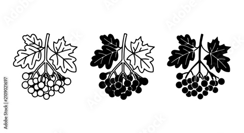 Foto Viburnum Berries Vector Icons, Black and White Fruit Clusters, Autumn Harvest Gr