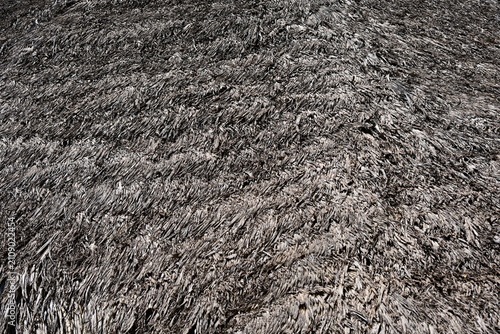 Konstfotografi traditional thatched roof made of straw and reeds, traditional thatched roof made of straw and reeds