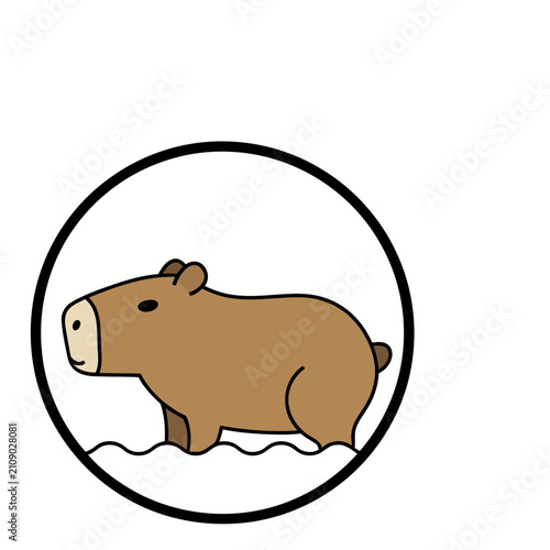 Capybara in a Circle