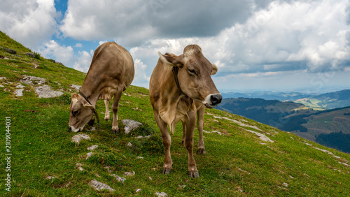 Quadro su tela Landschaft im Appenzeller Land