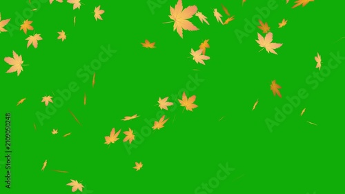 green screen falling autumn leaves background, autumn leaves falling animation chroma key transition overlay.