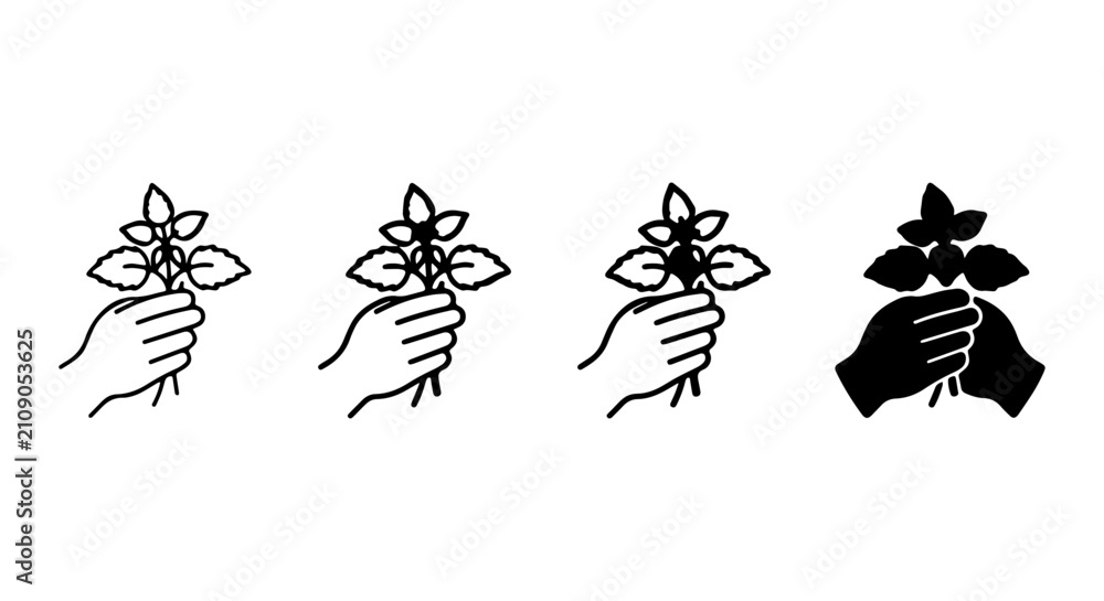 Obraz premium Hand Holding Basil Sprigs, Herb Collection Icons, Culinary Ingredient Vector Set