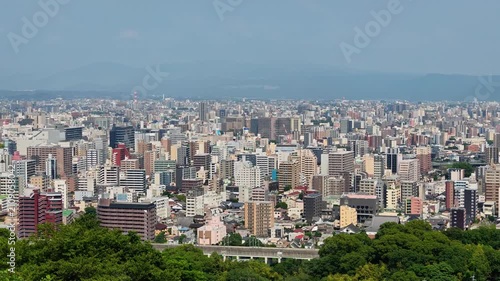 花岡山から見える白川と泰平橋