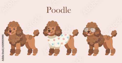 Fotografija brown poodle