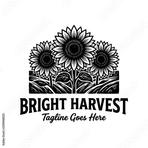 Rustic trio of sunflowers in a field. Perfect branding for organic crops, summer products, or florists.