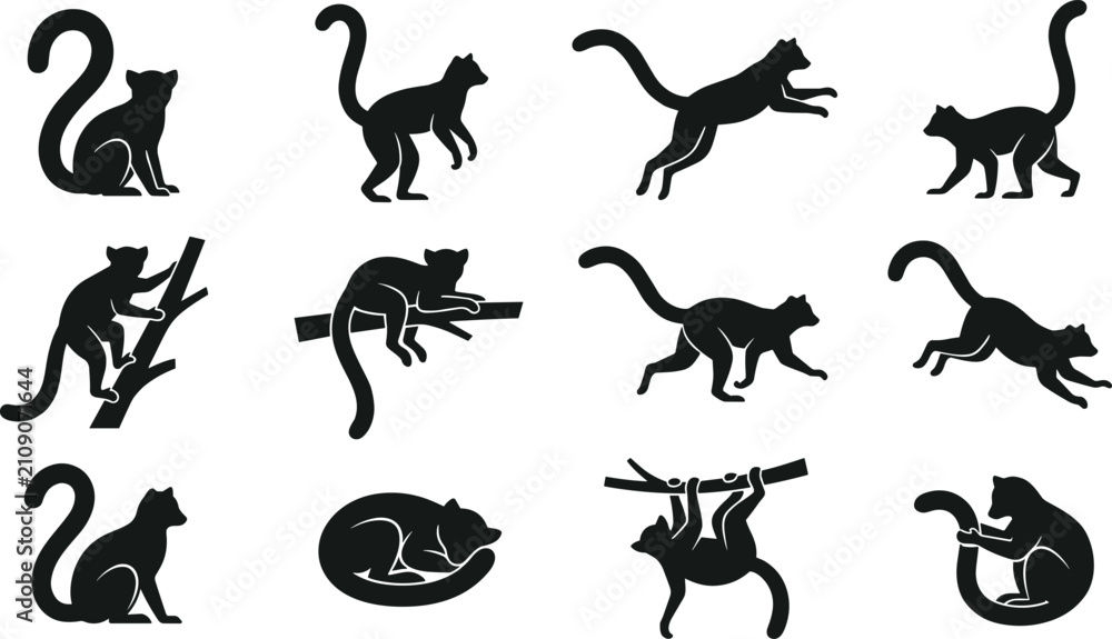 Obraz premium Ring Tailed Lemur Silhouette Collection with Sitting, Walking, Running, Climbing, Hanging, Sleeping, and Jumping Primate Poses Isolated Wildlife Vector Set