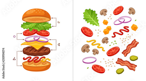 Exploded hamburger vector illustration with separate fresh food ingredients