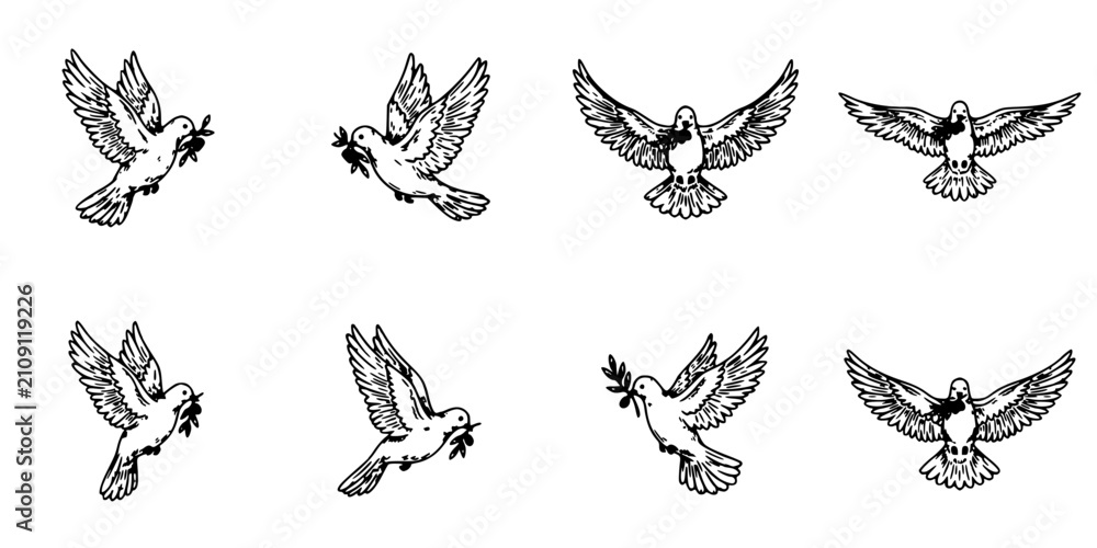 Fototapeta premium Doves Flying in Various Poses in Black and White Vector Illustration Featuring Dove, Bird, Wing with Feather and Sky Elements