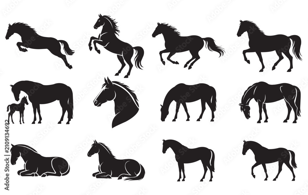 Fototapeta premium Horse Silhouettes Vector Graphic Collection
