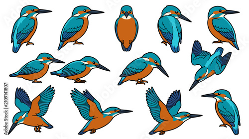Colorful Kingfisher Bird Illustrations in Various Poses.