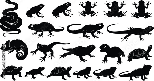 Fotografi Reptile amphibian silhouette illustration set, snake frog lizard chameleon turtl