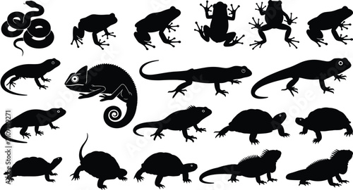 Fotografía Reptile and amphibian silhouette collection, wildlife outline figure, zoology mo